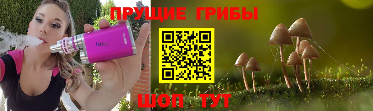 как найти наркотики  Вход с VPN  Псилоцибиновые грибы Psilocybine cubensis  Нижнеудинск  Галлюциногенные грибы прущие грибы 